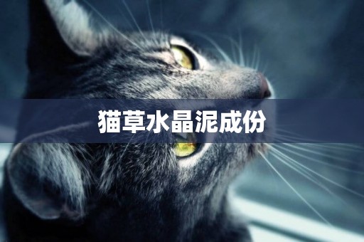 貓草水晶泥成份