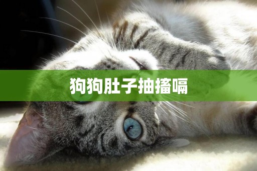 狗狗肚子抽搐嗝