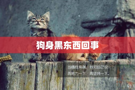 狗身黑東西回事
