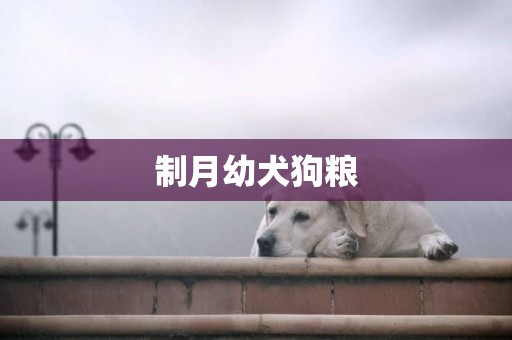 制月幼犬狗糧