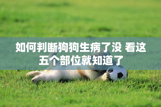 如何判斷狗狗生病了沒 看這五個部位就知道了