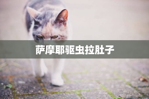 薩摩耶驅蟲拉肚子