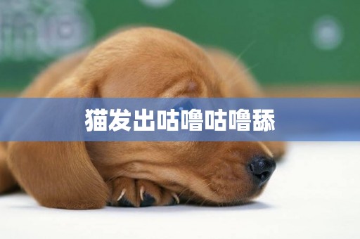 貓發出咕嚕咕嚕舔