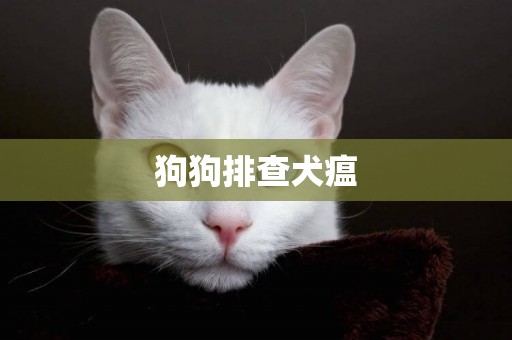 狗狗排查犬瘟