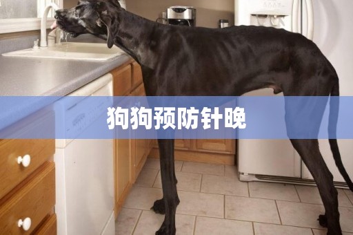 狗狗預防針晚