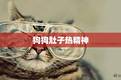 狗狗肚子熱精神