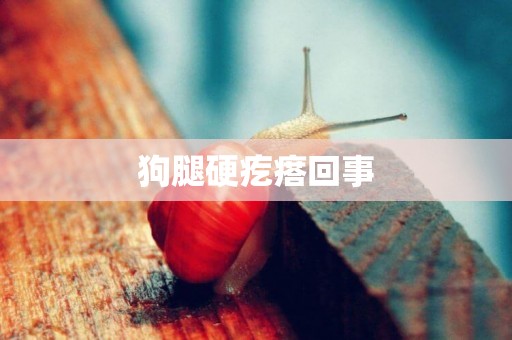 狗腿硬疙瘩回事