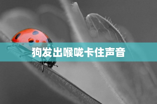 狗發出喉嚨卡住聲音