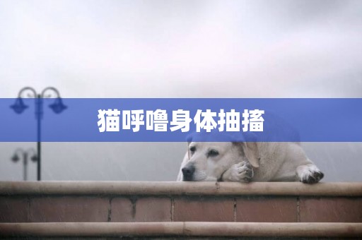 貓呼嚕身體抽搐