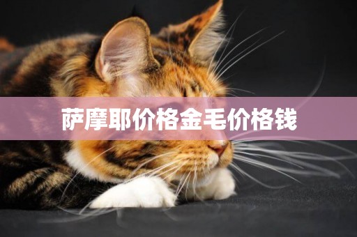 薩摩耶價格金毛價格錢