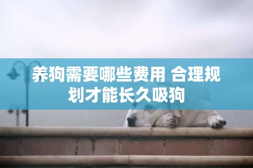 養狗需要哪些費用 合理規劃才能長久吸狗
