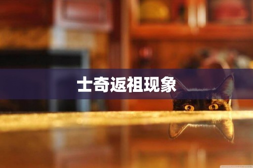 士奇返祖現象