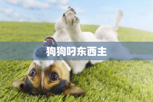 狗狗叼東西主