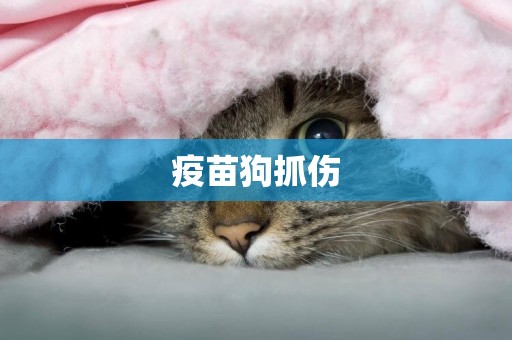 疫苗狗抓傷