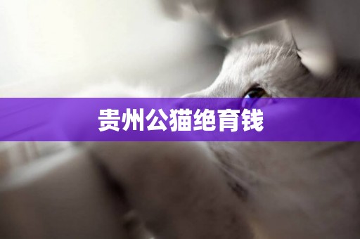 貴州公貓絕育錢