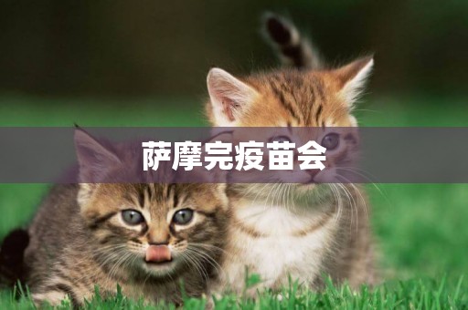 薩摩完疫苗會