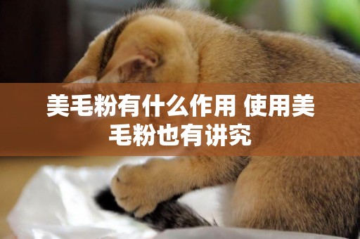 美毛粉有什么作用 使用美毛粉也有講究