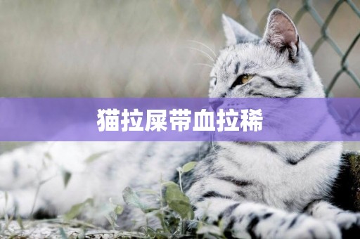 貓拉屎帶血拉稀
