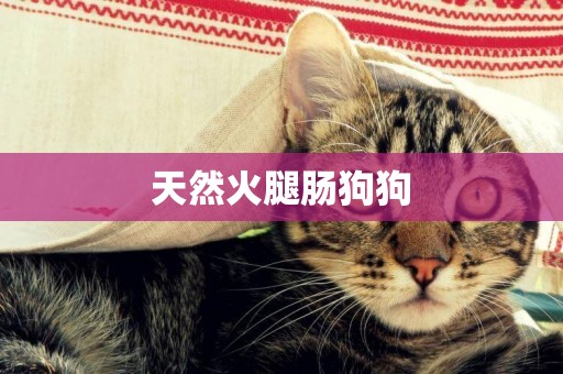 天然火腿腸狗狗