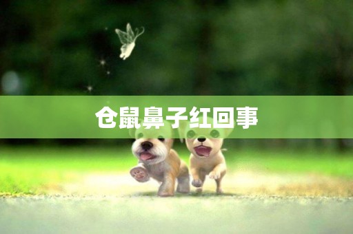 倉鼠鼻子紅回事