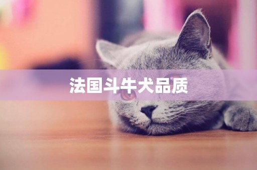 法國斗牛犬品質