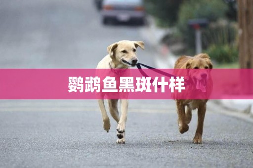 鸚鵡魚黑斑什樣