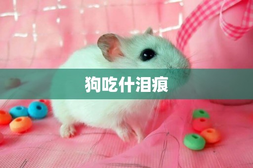 狗吃什淚痕