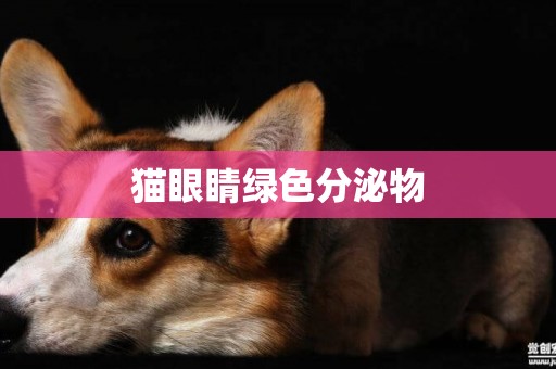 貓眼睛綠色分泌物