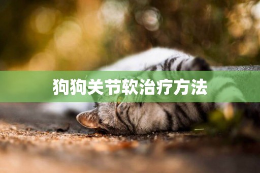 狗狗關節軟治療方法