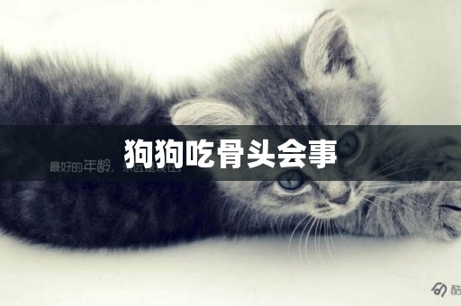 狗狗吃骨頭會事