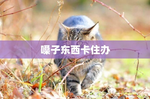 嗓子東西卡住辦