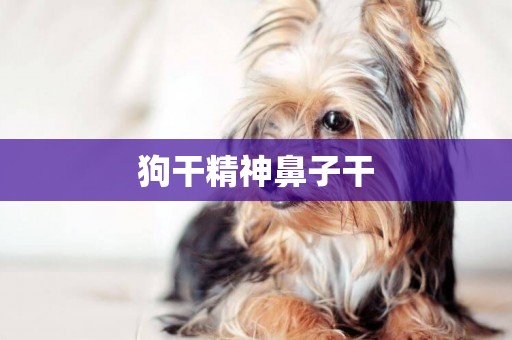 狗干精神鼻子干