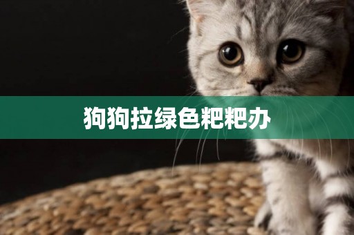 狗狗拉綠色粑粑辦