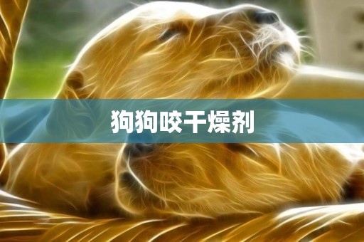 狗狗咬干燥劑