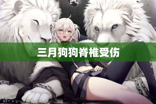 三月狗狗脊椎受傷