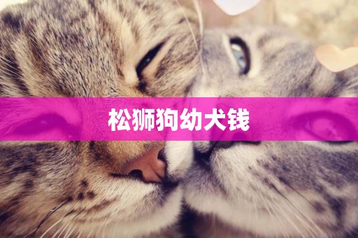 松獅狗幼犬錢