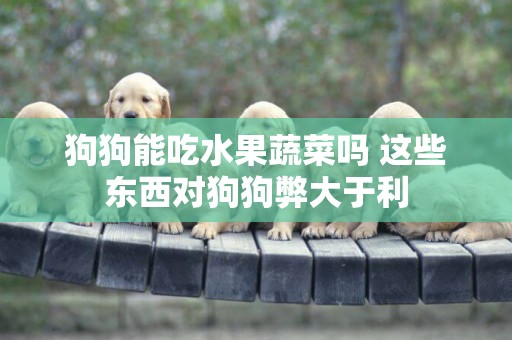 狗狗能吃水果蔬菜嗎 這些東西對狗狗弊大于利