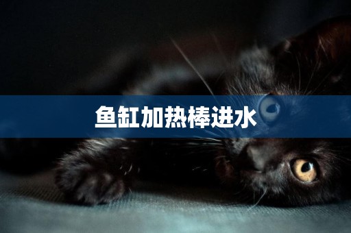 魚缸加熱棒進水