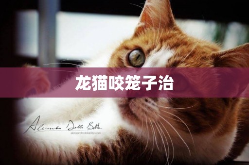 龍貓咬籠子治