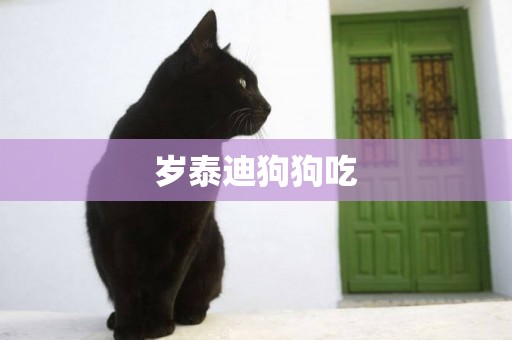 歲泰迪狗狗吃