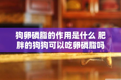 狗卵磷脂的作用是什么 肥胖的狗狗可以吃卵磷脂嗎