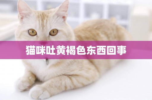 貓咪吐黃褐色東西回事