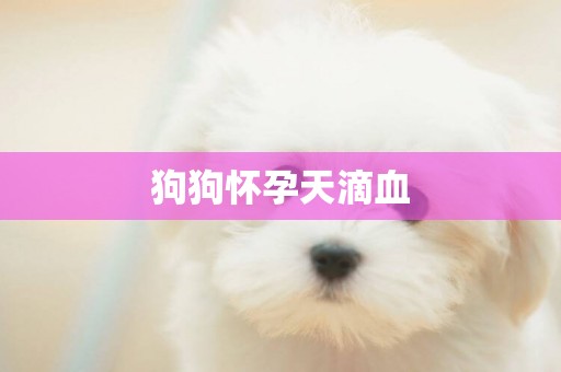 狗狗懷孕天滴血