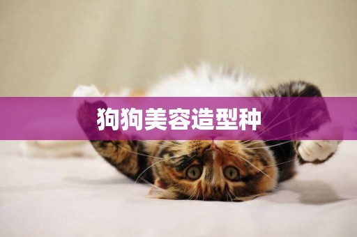 狗狗美容造型種