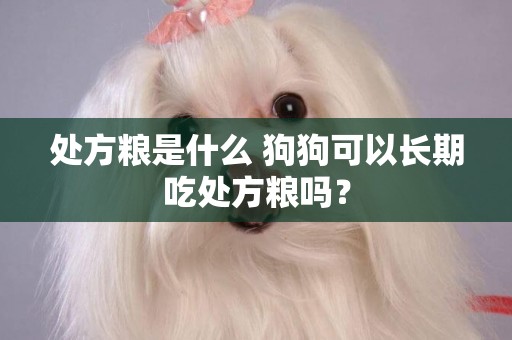 處方糧是什么 狗狗可以長期吃處方糧嗎？