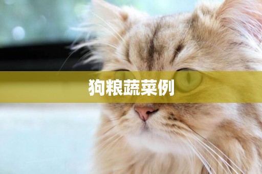 狗糧蔬菜例