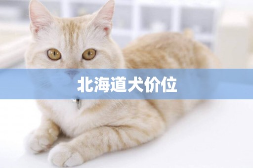 北海道犬價位
