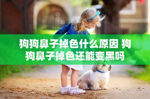 狗狗鼻子掉色什么原因 狗狗鼻子掉色還能變黑嗎