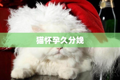 貓懷孕久分娩