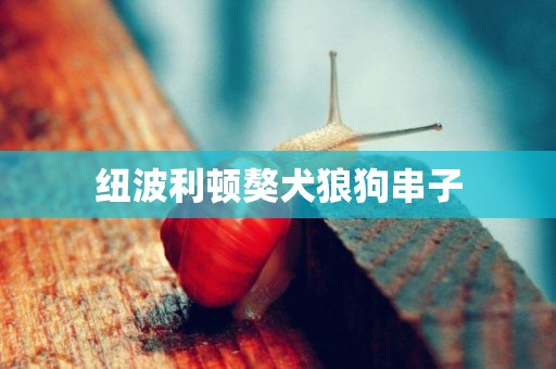 紐波利頓獒犬狼狗串子